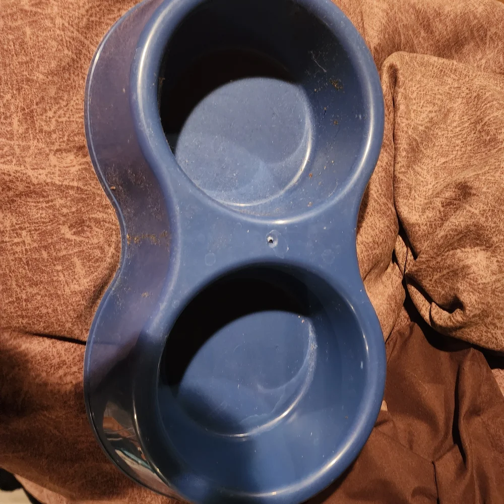 Blue Double Dog Bowl
